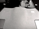 calw induction hood