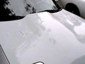 calw induction hood